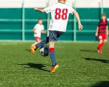 哈达威回击,篮球实力争,若在雷迪克,世界杯买球,2026世界杯,足球博彩,投注技巧,赛事分析