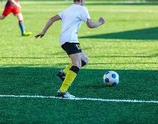 哈达威回击,篮球实力争,若在雷迪克,世界杯买球,2026世界杯,足球博彩,投注技巧,赛事分析